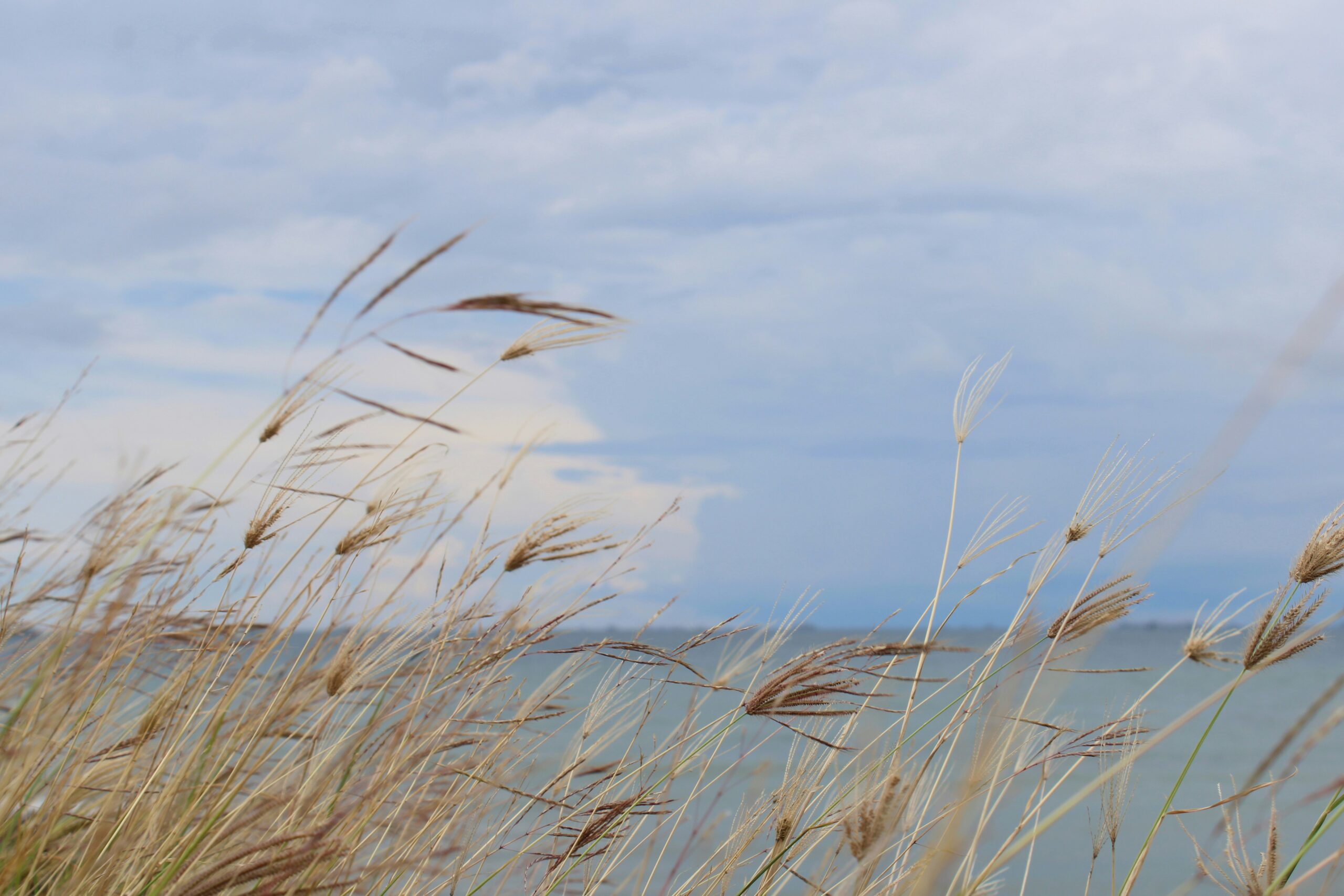CoastRI receives $58 million of investment from the Australian Government